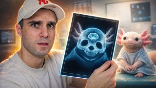 Les animaux les plus c*ns !