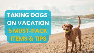 Taking Dogs on Vacation: 5 Must-Pack Items + Travel Tips