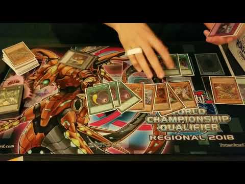 2nd Place Minneapolis Regional - Brian Kalina - Draco Zoo