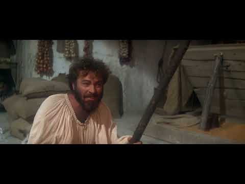 Hilarious Discussion  - The Taming of the Shrew (1967) Elizabeth Taylor & Richard Burton