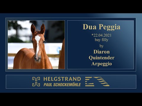 14 Dua Peggia by Diaron - Quintender - Arpeggio