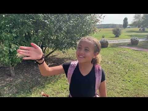 Homemade Biscuits | Kids Horse Lessons | Local Sustainable Farmers!