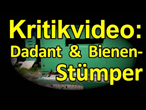 Critical video: Dadant, Schieden, LAVES Info letter Bee Institute Celle, two-comb AND 1 bee bungler