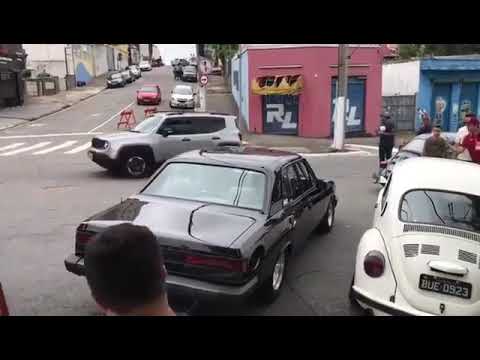 Opala diplomata Turbo