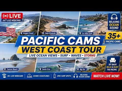 Seaside Surf Cam Lanai
