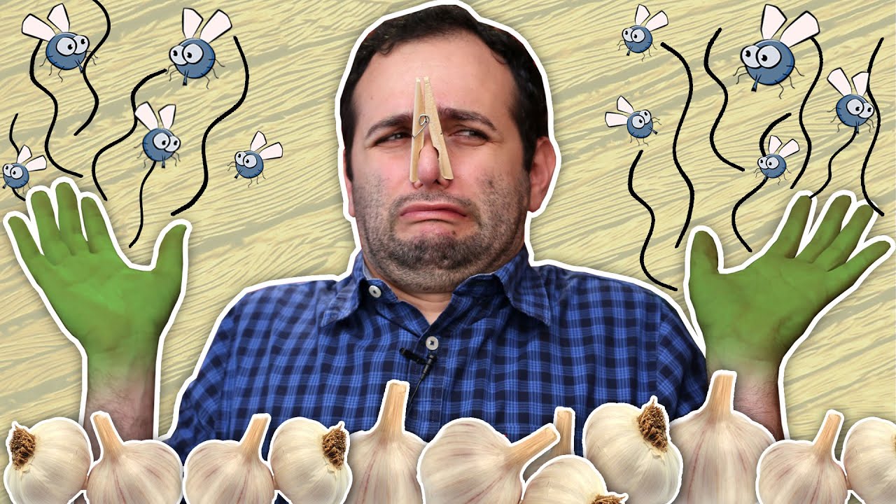 Jeitos esquisitos de TIRAR CHEIRO de ALHO DAS MÃOS