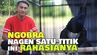 Download lagu NGOBRA NAGEN SATU TITIK , INI RAHASIANYA mp3