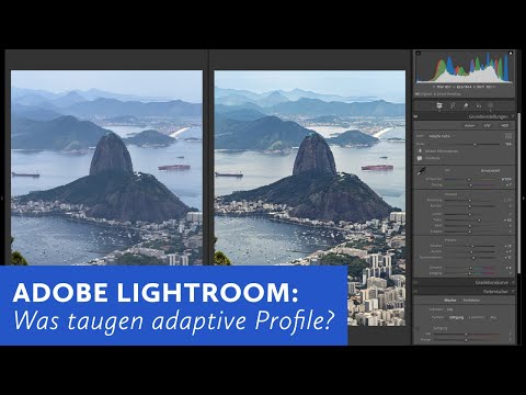 Adobe Lightroom: Was taugt das Kameraprofil "Adaptiv Farbe"?