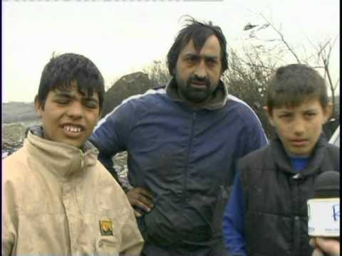 cigo Sta ima nema nista