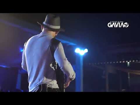 forró Du gavião piranha