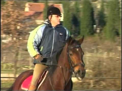 Azra Redžić Radulović - Nebojša Crnogorac