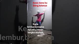 Download lagu Kerja lembur #comedy #dangdut #kerjaan mp3 Download lagu Kerja lembur #comedy #dangdut #kerjaan mp3