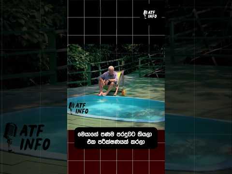 Man vs Piranha Thrilling piranha Tank Experiment Reveals the Dangers of Deadly Fish Attacks #sinhala