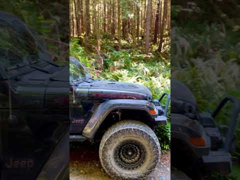 Did you know BC has the worlds 2nd largest rainforest? #overland #britishcolumbia #jeepgladiator