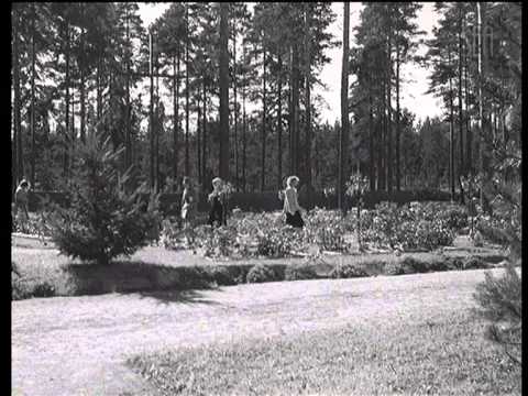 Hyvinkää Nousee (Suomi-Filmi Oy, 1953)