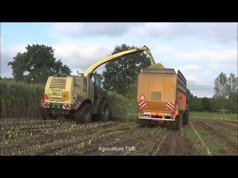 Best of mais harvesting 2019-Vandervelpen-Vanoppen-VRG-2019