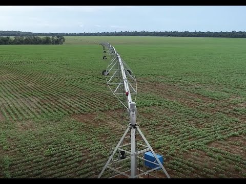 IRRIGAÇÃO COM PIVÔ CENTRAL- TECNOLOGIA QUE PERMITE FAZER TRÊS SAFRAS