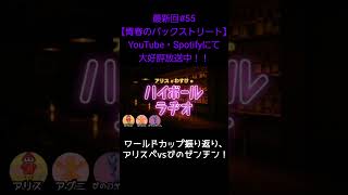 ワールドカップ振り返り【アリスとわすけのハイボールラヂオ】#雑談#ラジオ#shotrs