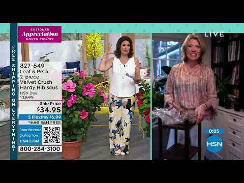 HSN | Customer Appreciation Month Kickoff with Alyce 04.01.2023 - 11 AM
