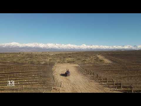 Cordón del Plata — Tupungato, Mendoza.