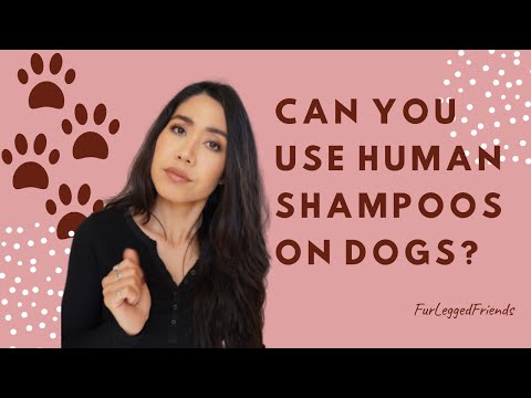 Can you use human shampoos on dogs