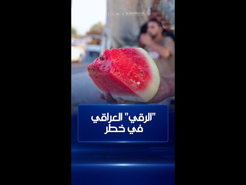 شاهد بالفيديو.. مزارعون عراقيون يطالبون بغلق الحدود أمام "الرقي" المستورد لإنعاش المنتج المحلي