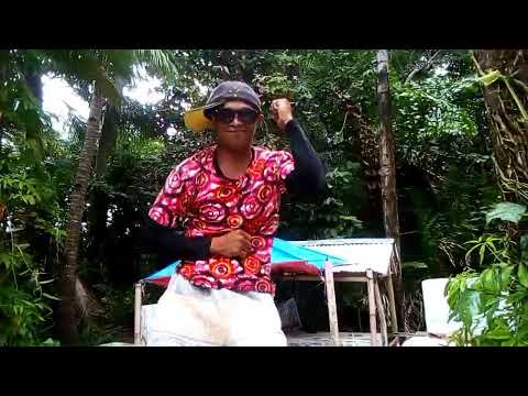 DJ PADE puk's🤣🤣✌️