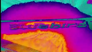 Wild Strawberries | Pizzicato Five