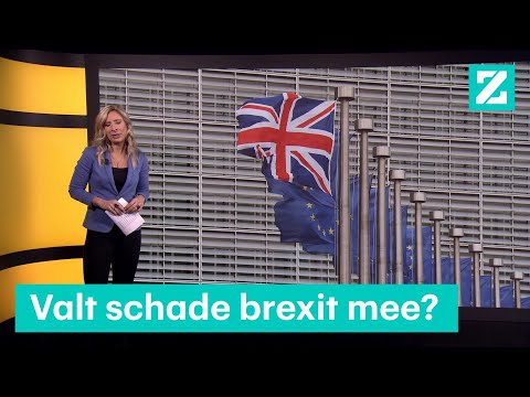 Overleeft Britse economie de Brexit? – RTL Z NIEUWS