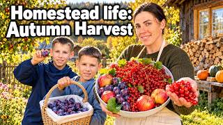 We moved abroad | New life on a homestead | Autumn Harvesting