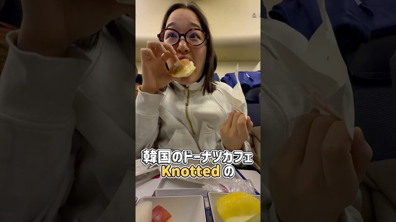 みんなのおすすめNetflix番組教えてください👀📺✨ #とある日の機内食イン空中 #フルーツミール #機内食