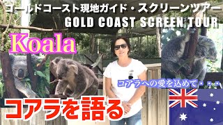 オーストラリアのあの動物について、熱く語ります！| Koala
