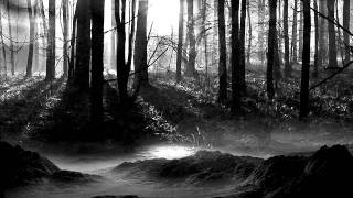 Rotting Crist - Shadows Follow