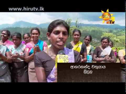 Hiru TV