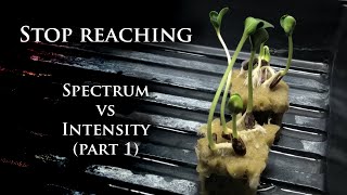 Seedlings Reaching For Light? | Spectrum vs Intensity Part 1