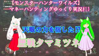 【モンスターハンターワイルズ】マネーハンティングゆっくり実況#13