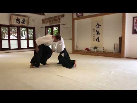 Beautiful Aikido- Aikido is beautiful
