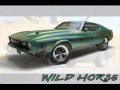 Wild Wild Mustang  -  Dick Dale