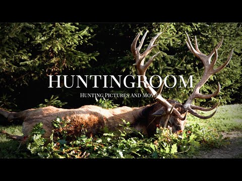 Goldmedaillen Rekord Hirsch mit 26 Enden!!! Hirschbrunft in Ungarn 2019