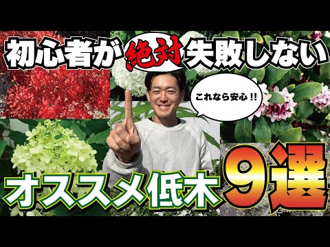 鶏小屋に植える低木はどれですか?またその理由は何ですか?囲いに適した5つの理由と7つの理想的な種を紹介します。  庭園