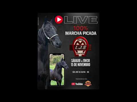 PM PRENDE INDIVÍDUO POR AMEAÇA E POSSE ILEGAL DE ARMA DE FOGO EM SANTA MARIA DO SUAÇUÍ-MG