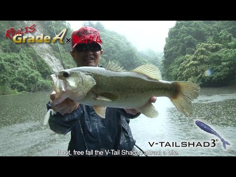 DUO V-Tail 10cm F032 Magic Shad