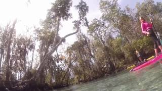 preview picture of video 'Crystal River SUP Weekend with Jax SUP Group Feb'15'