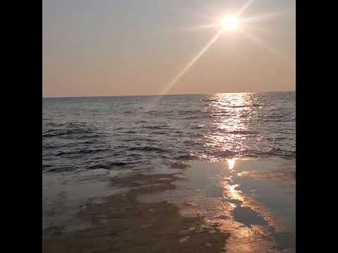 ...and then how vast is the ocean 🥛💙