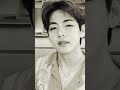 BTS Kim Taehyung Malayalam Whatsapp Status Taehyung Kannil Kannil Sita Ramam Song Edit