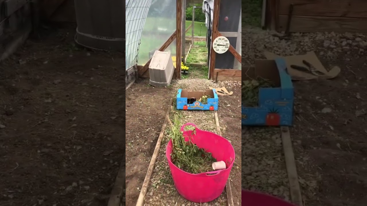 The Learning Tree Farm Dayton, Oh