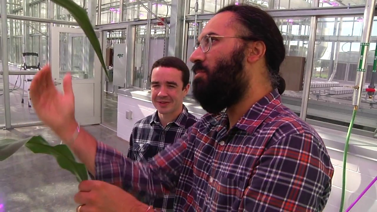 Center for Plant Science Innovation