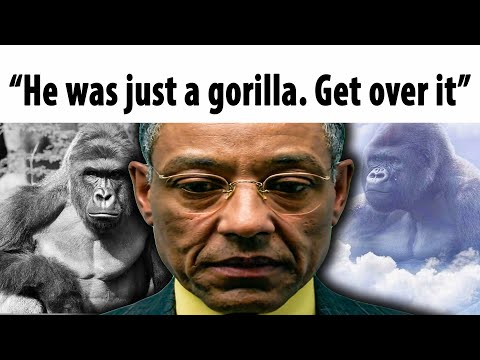 When you find the Harambe Kid