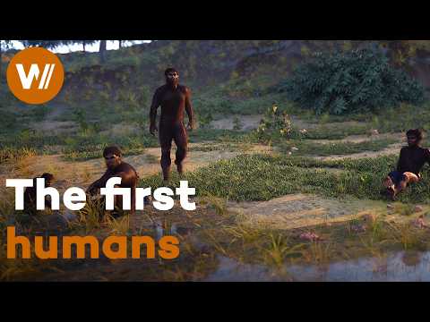How did Humankind Emerge? On the Trail of the First Human at Kromdraai in Africa (Full Documentary)