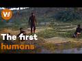 How did Humankind Emerge? On the Trail of the First Human at Kromdraai in Africa (Full Documentary)